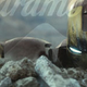 Illustration for article titled Red Hot New Pics From Dark Knight And Iron Man!